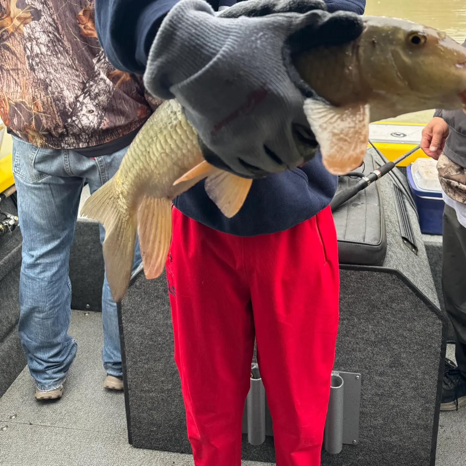 Silver redhorse caught on Fishbrain