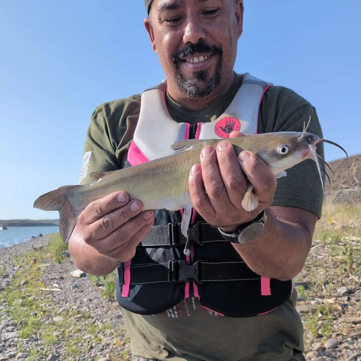 Channel catfish caught on Fishbrain
