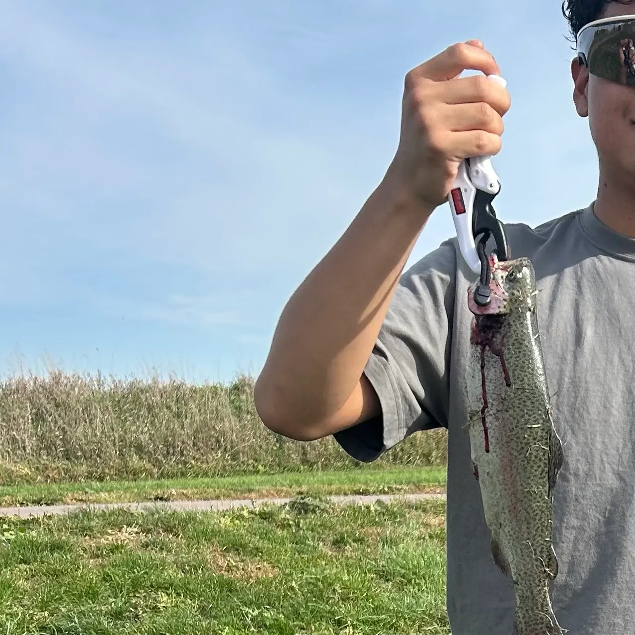 Rainbow trout caught on Fishbrain