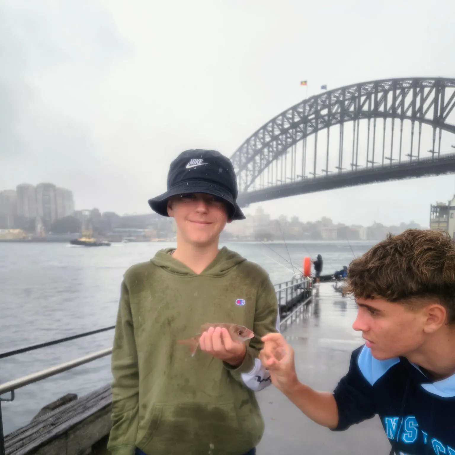 The most recent Australasian snapper catches on Fishbrain