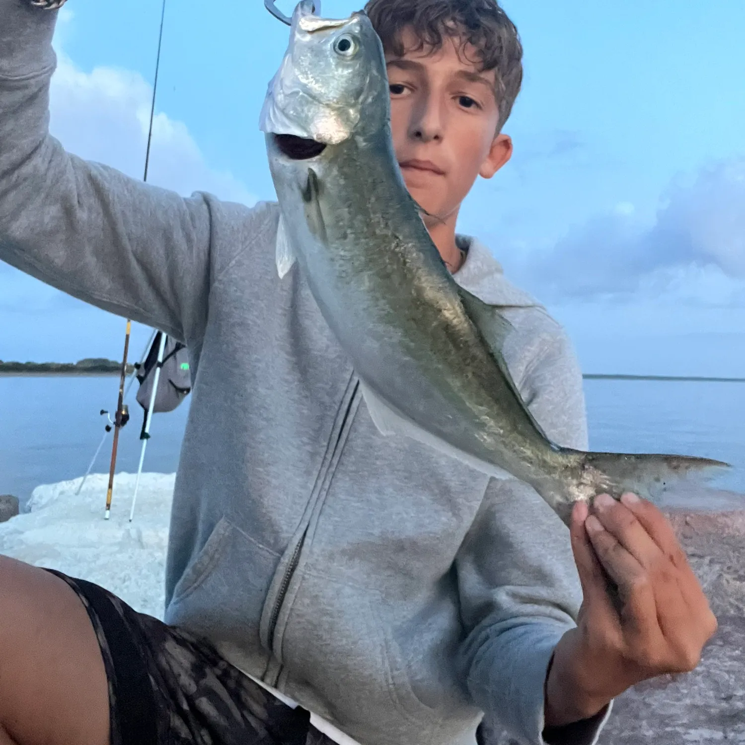 Bluefish caught on Fishbrain