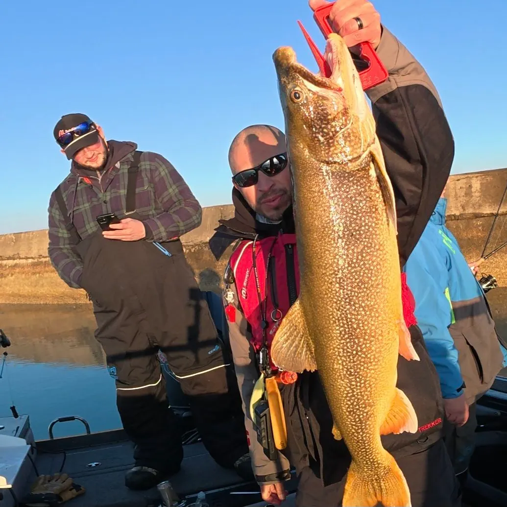 The most recent Lake char catches on Fishbrain