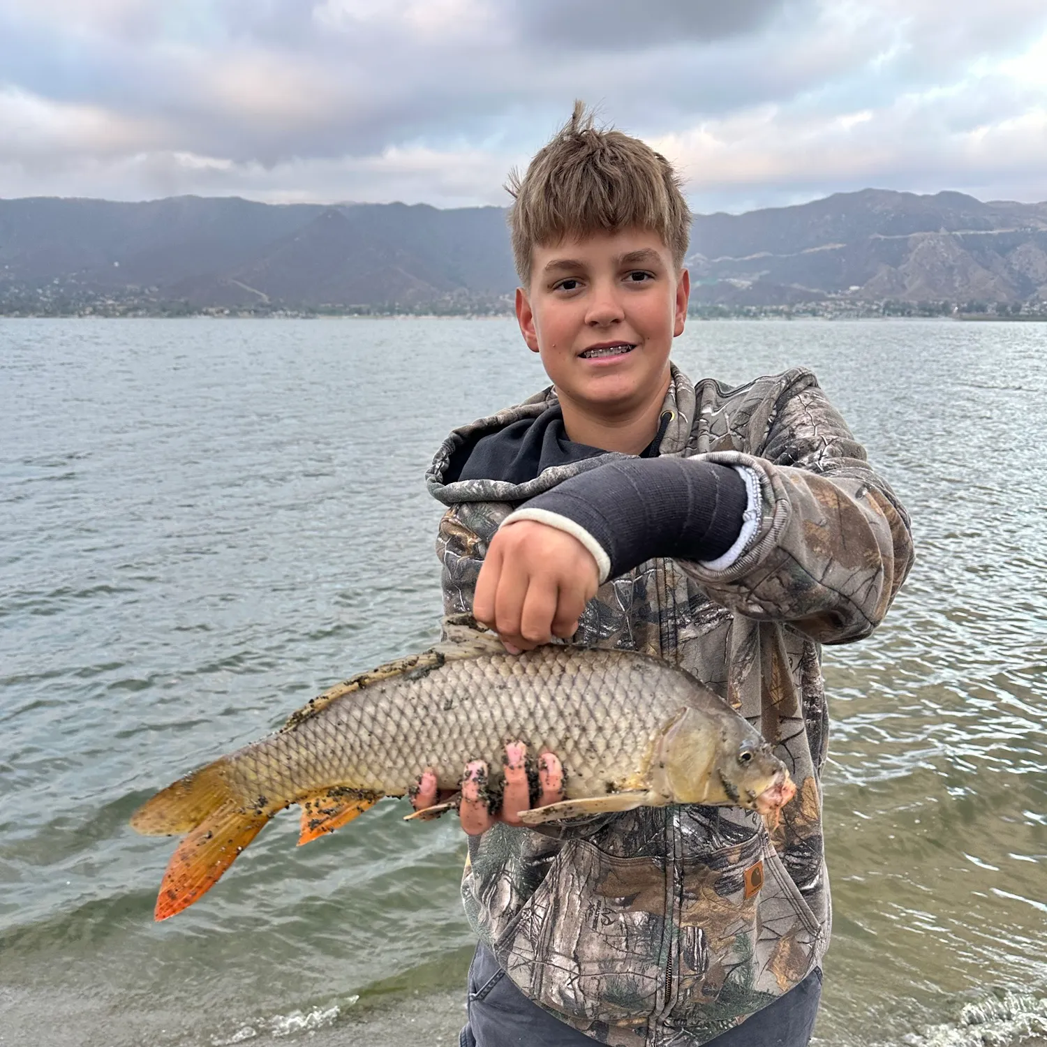 Common carp caught on Fishbrain