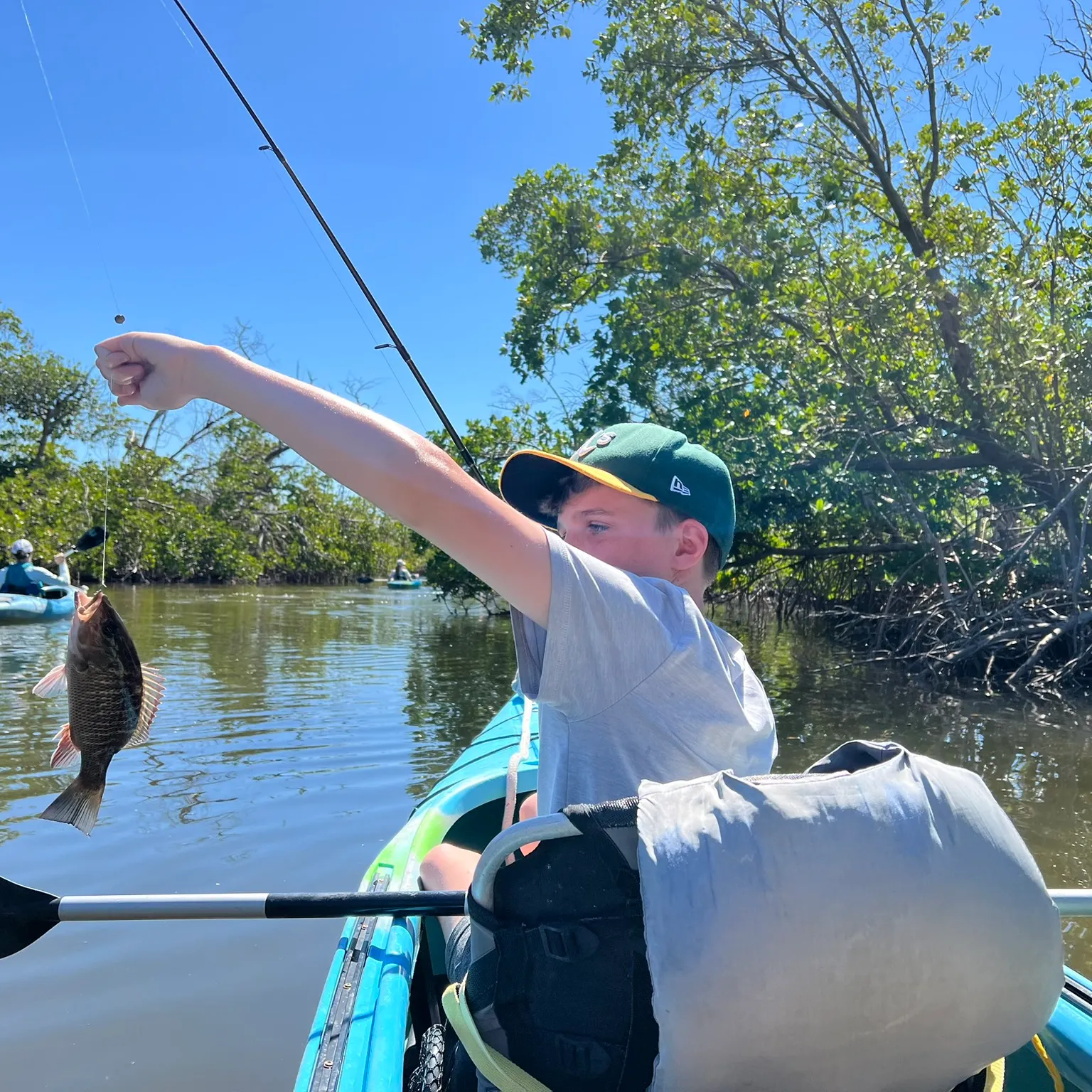 The most recent Redbelly tilapia catches on Fishbrain