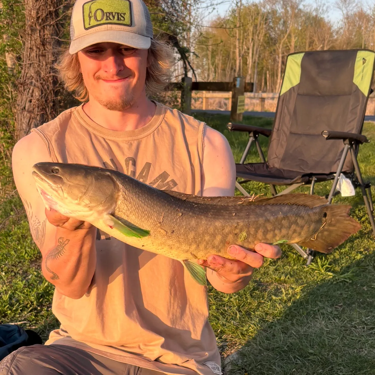 recently logged catches