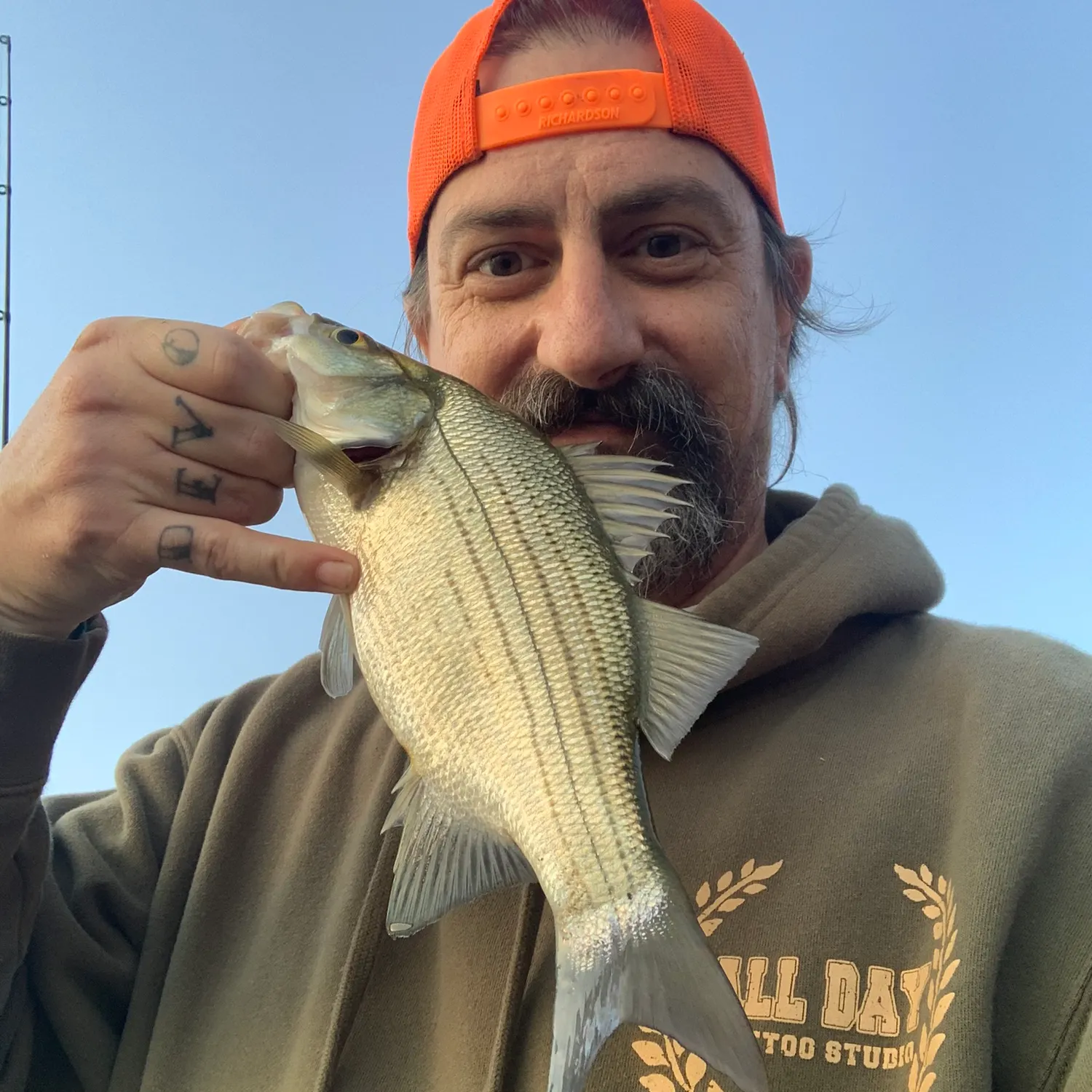 White bass caught on Fishbrain