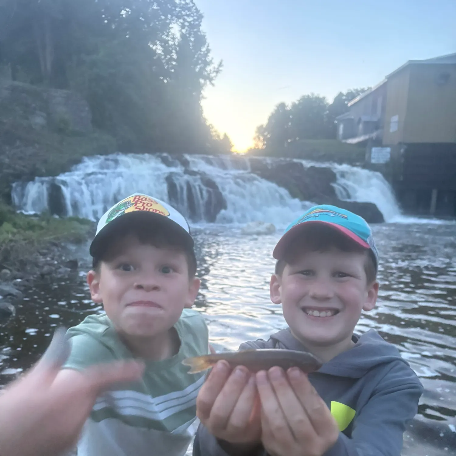 The most recent Cutlips minnow catches on Fishbrain