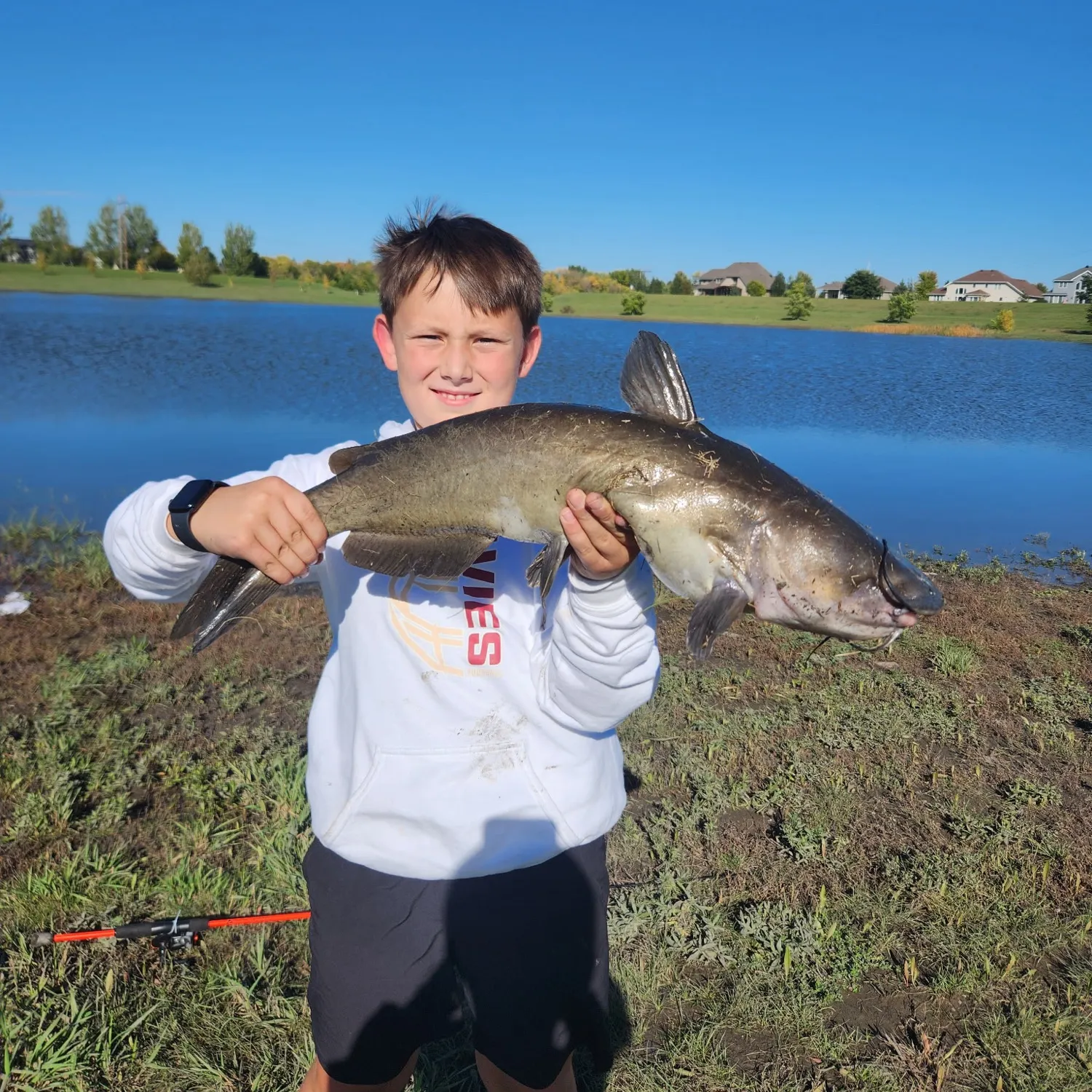Channel catfish caught on Fishbrain