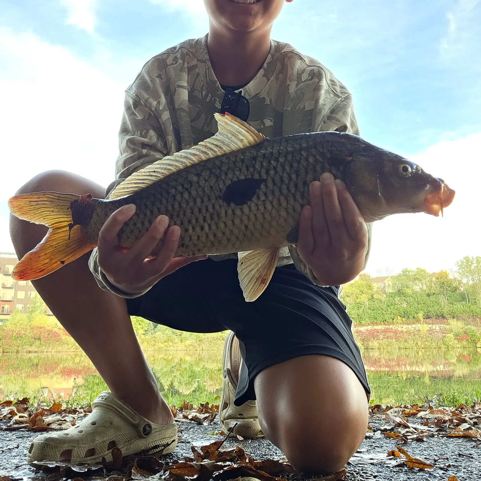 Common carp caught on Fishbrain
