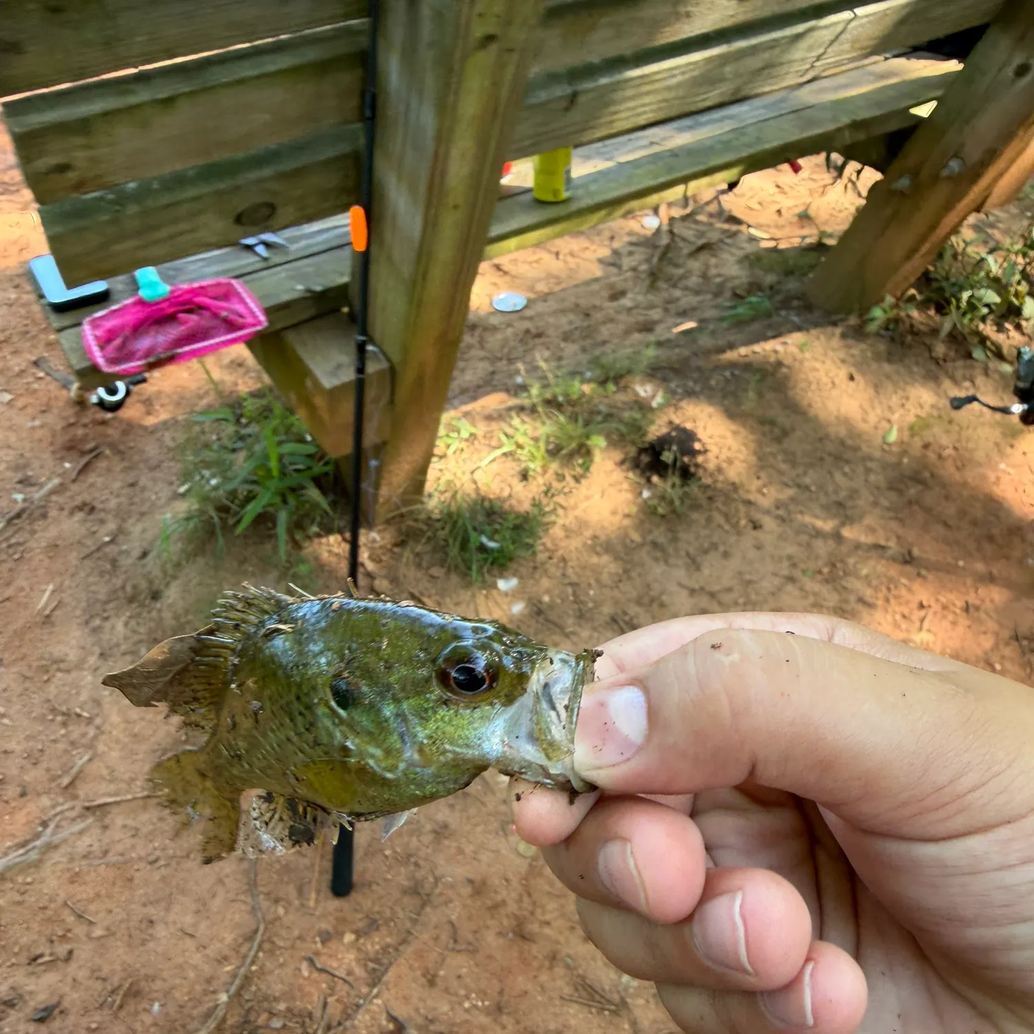 catch