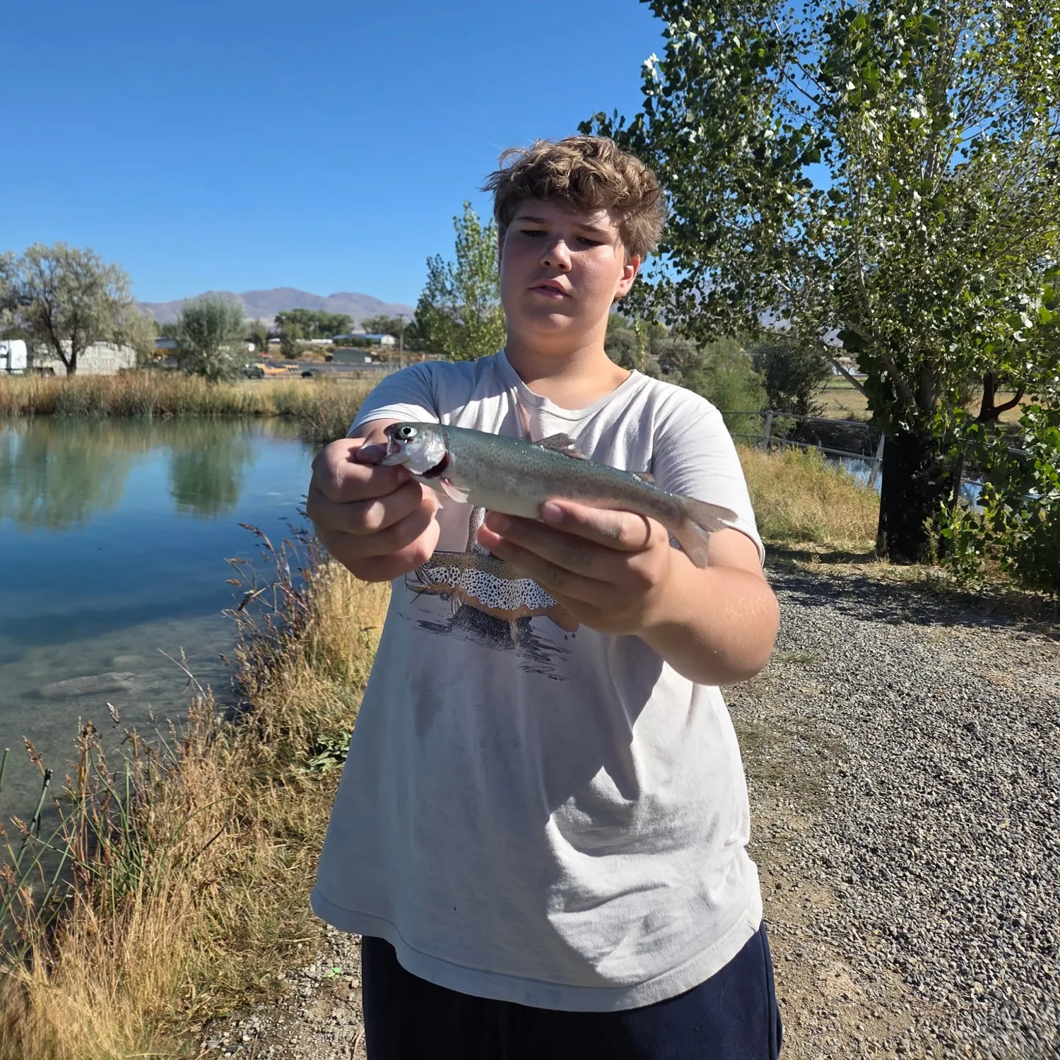 Rainbow trout caught on Fishbrain