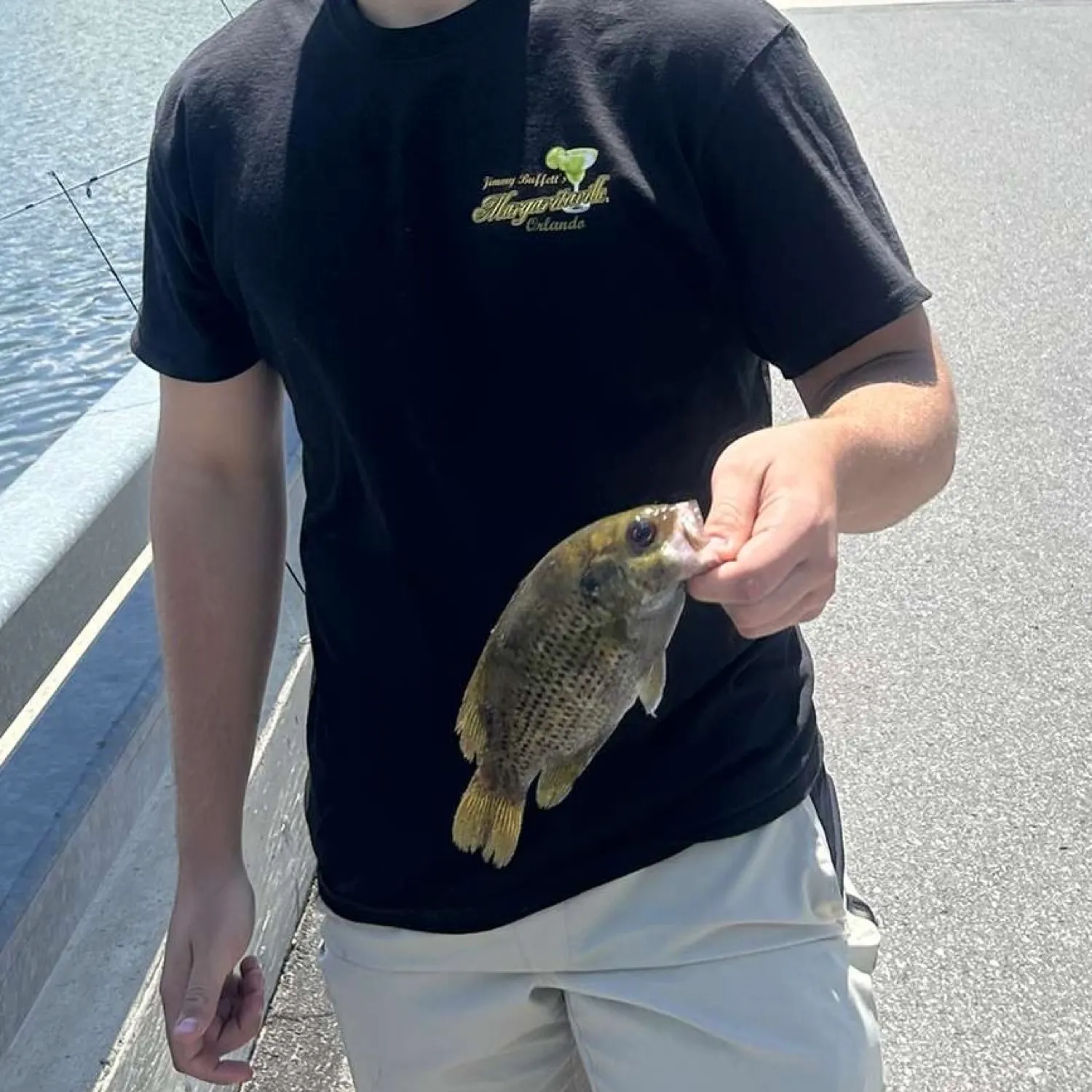 angler catch