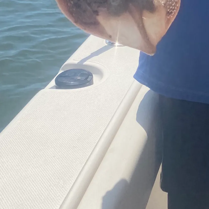 The most recent Starry ray catches on Fishbrain
