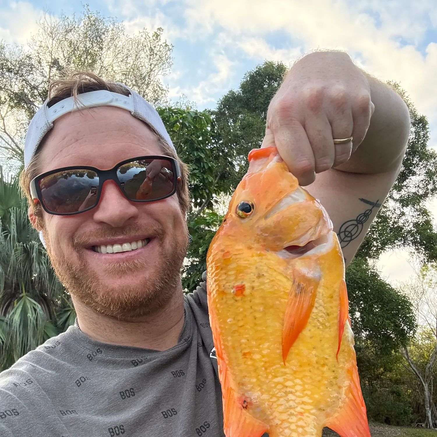 The most recent Midas cichlid catches on Fishbrain