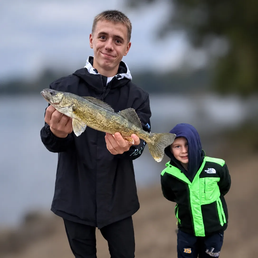 Walleye caught on Fishbrain