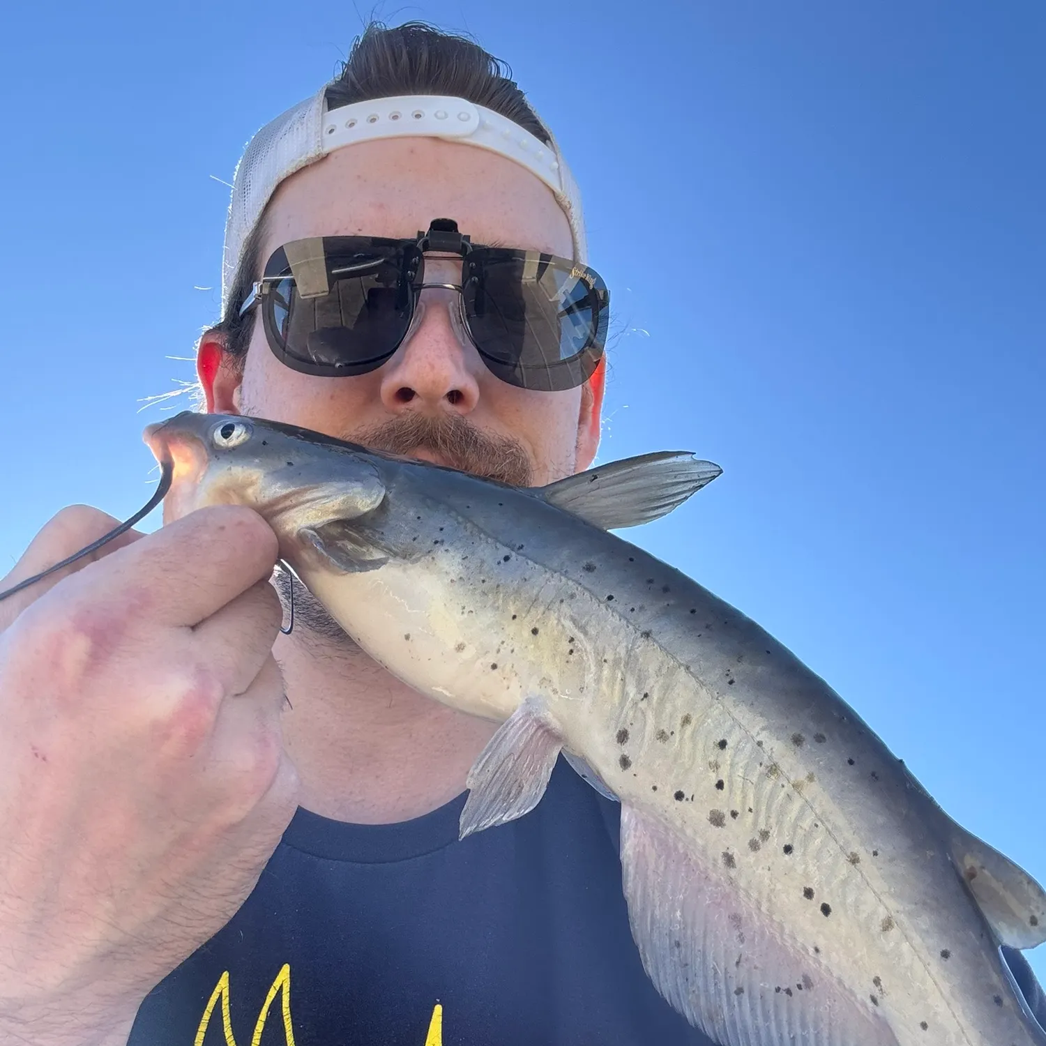 The most recent Channel catfish catches on Fishbrain