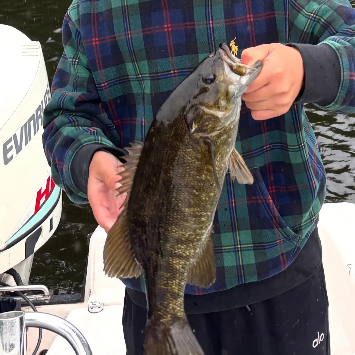 Smallmouth bass caught on Fishbrain