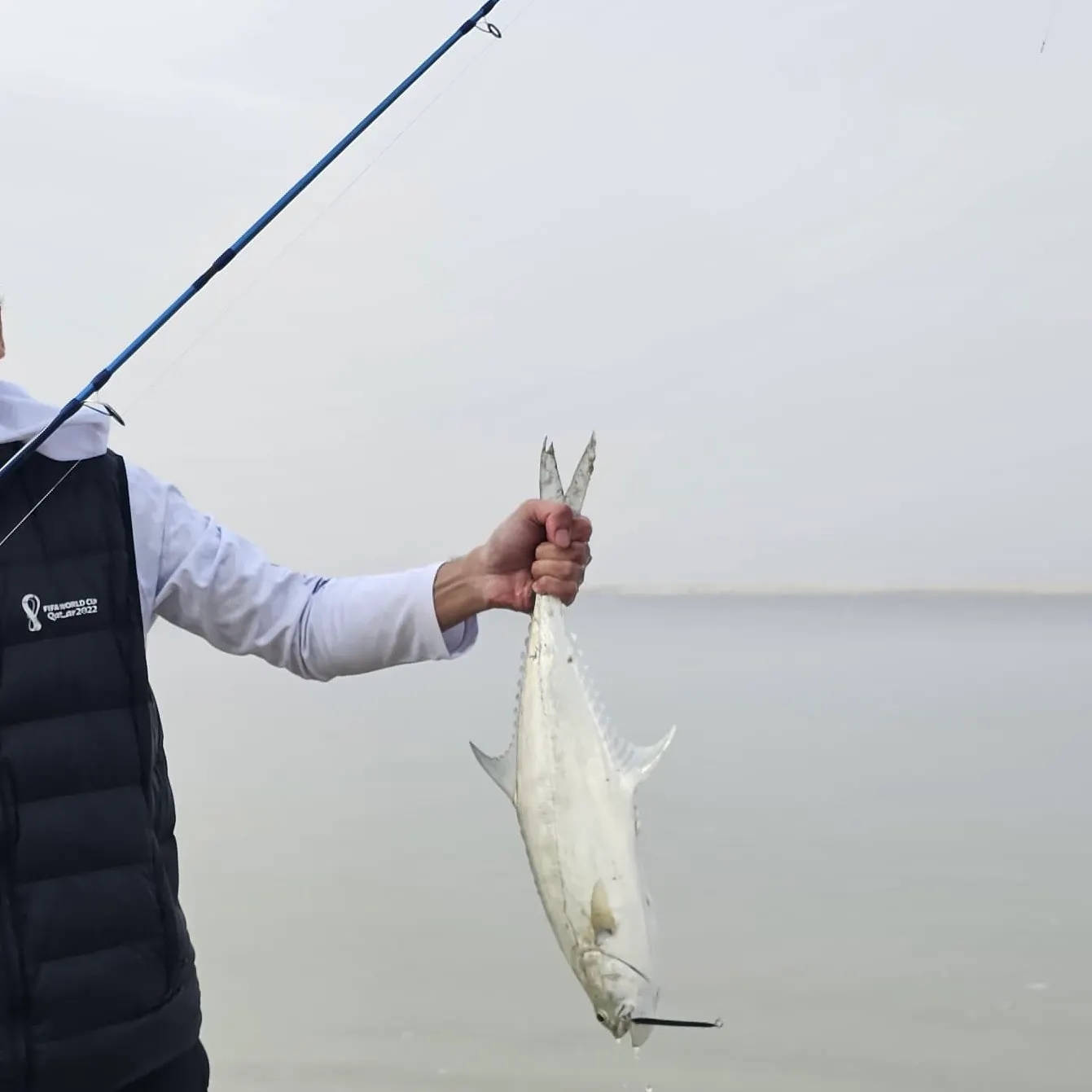 The most recent Talang queenfish catches on Fishbrain