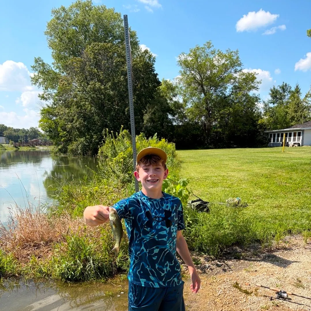Smallmouth bass caught on Fishbrain