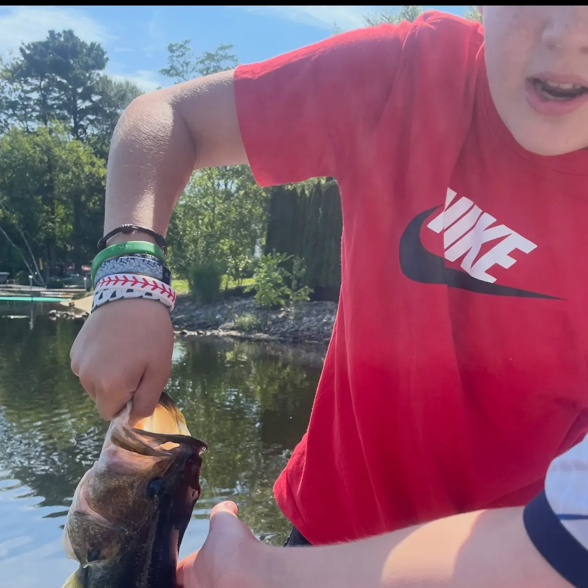 Largemouth bass caught on Fishbrain