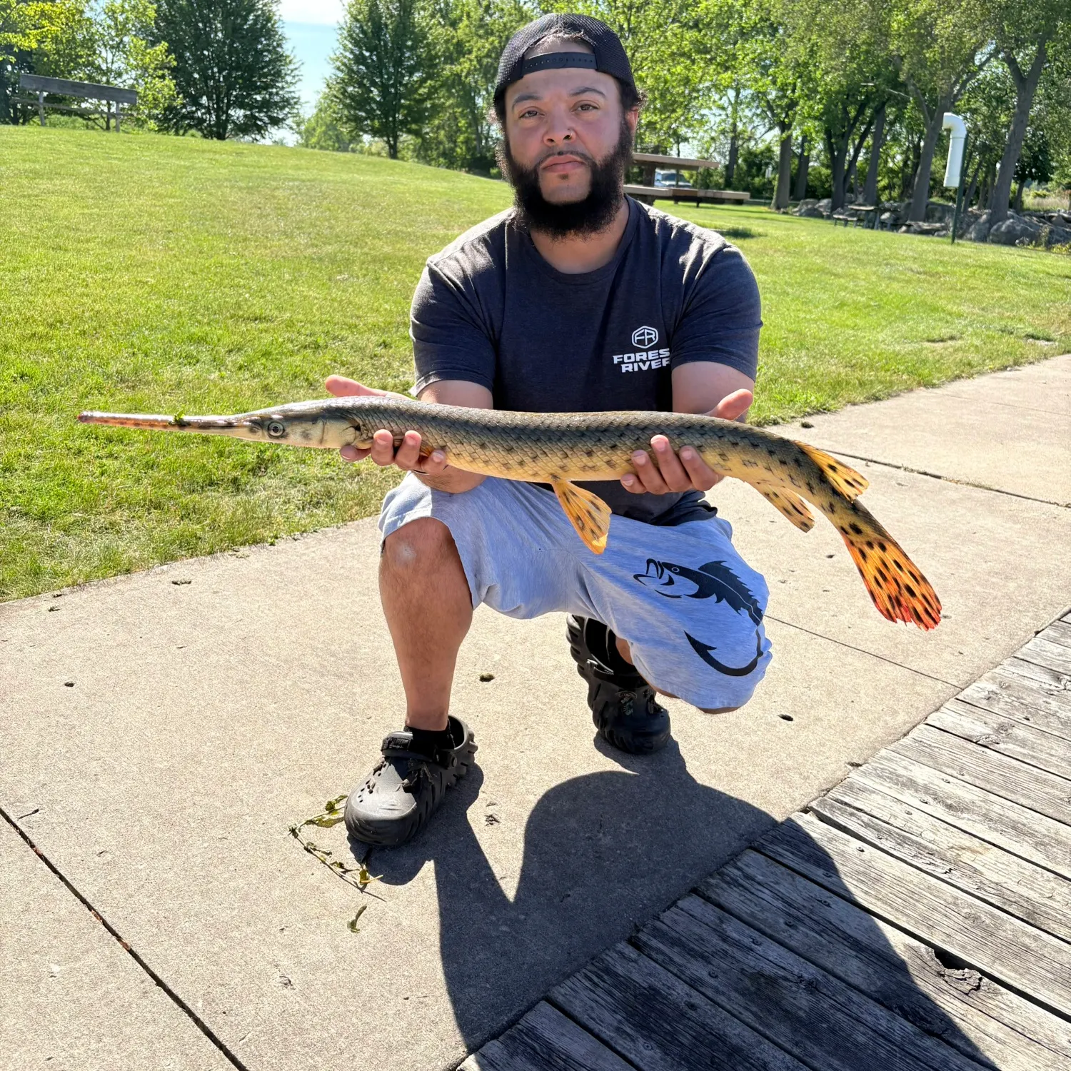 catch