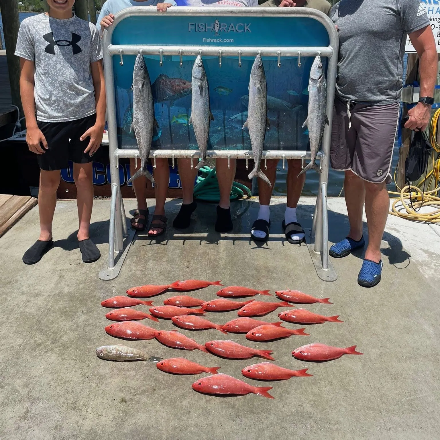 The most recent King mackerel catches on Fishbrain