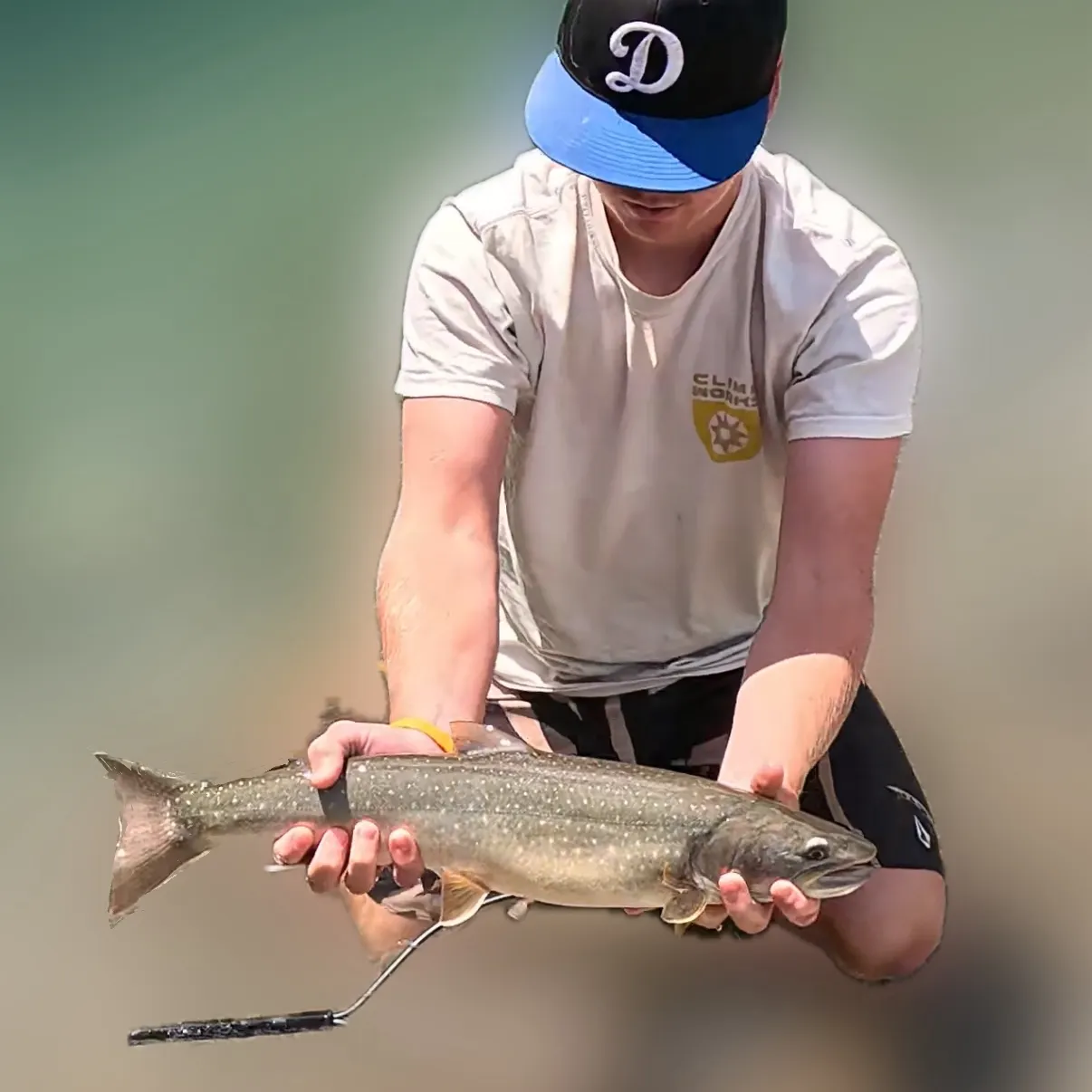 The most recent Bull trout catches on Fishbrain