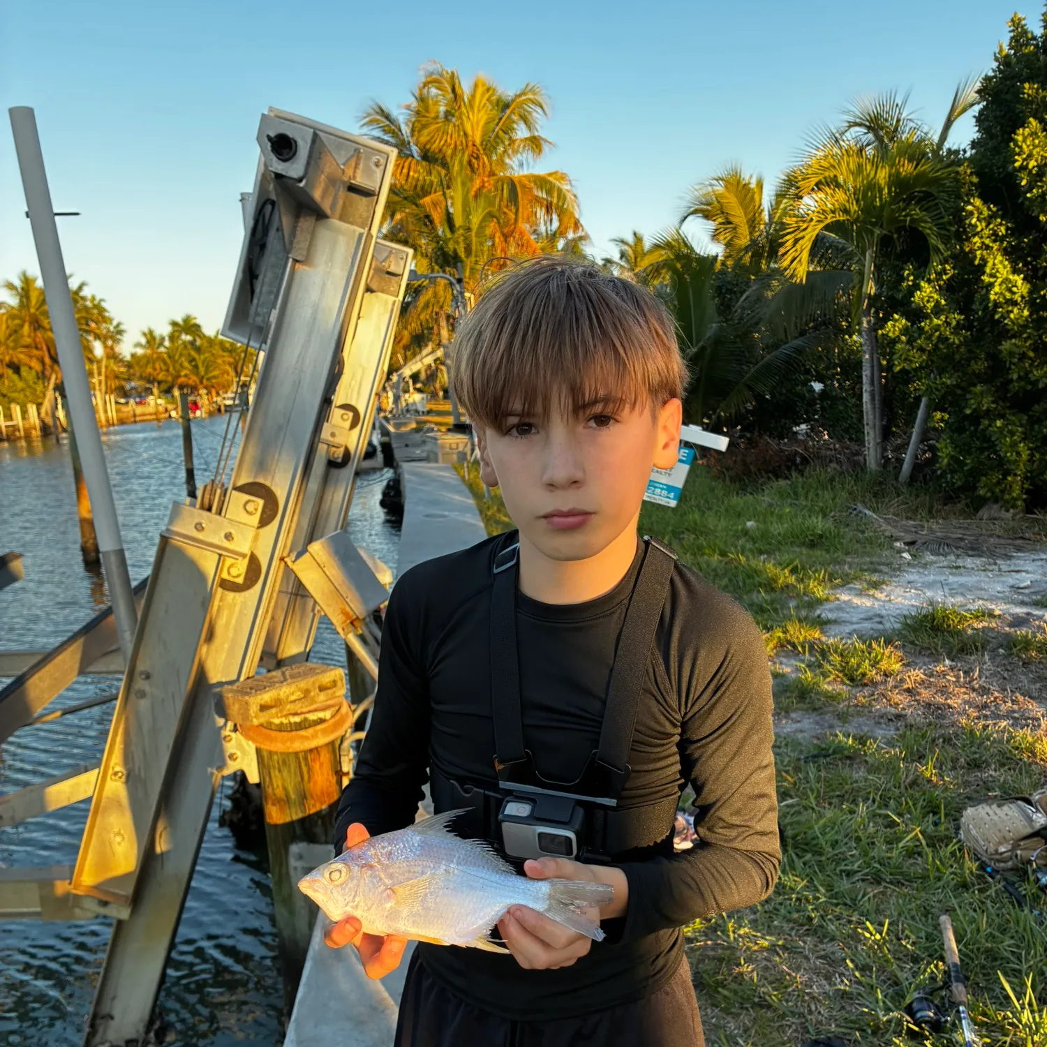 The most recent Yellowfin mojarra catches on Fishbrain