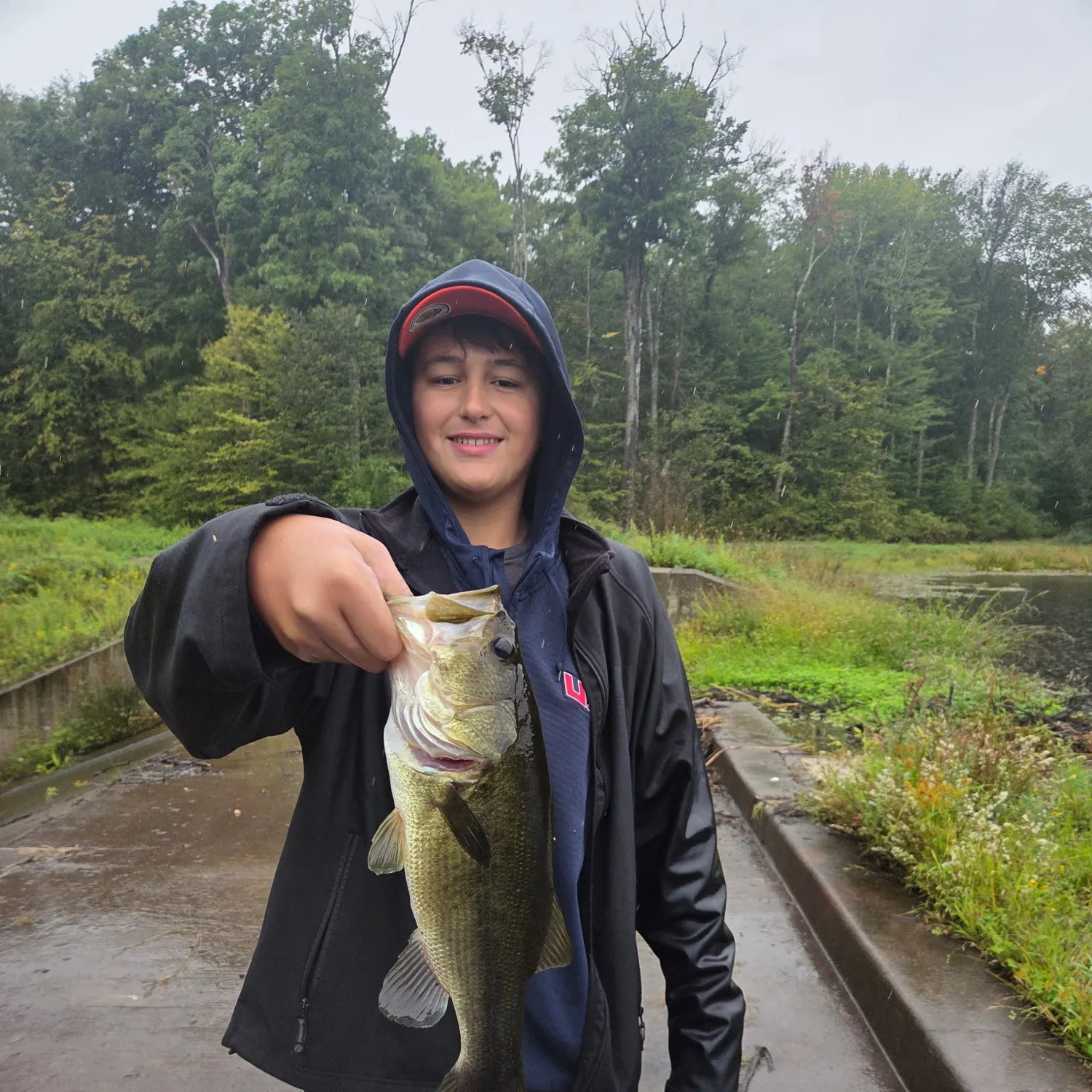 Largemouth bass caught on Fishbrain