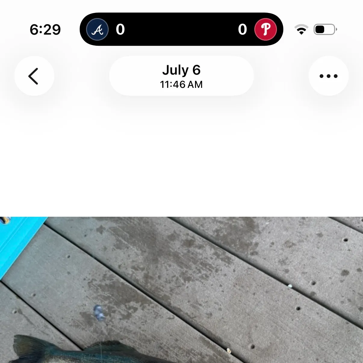 Fish caught on Fishbrain
