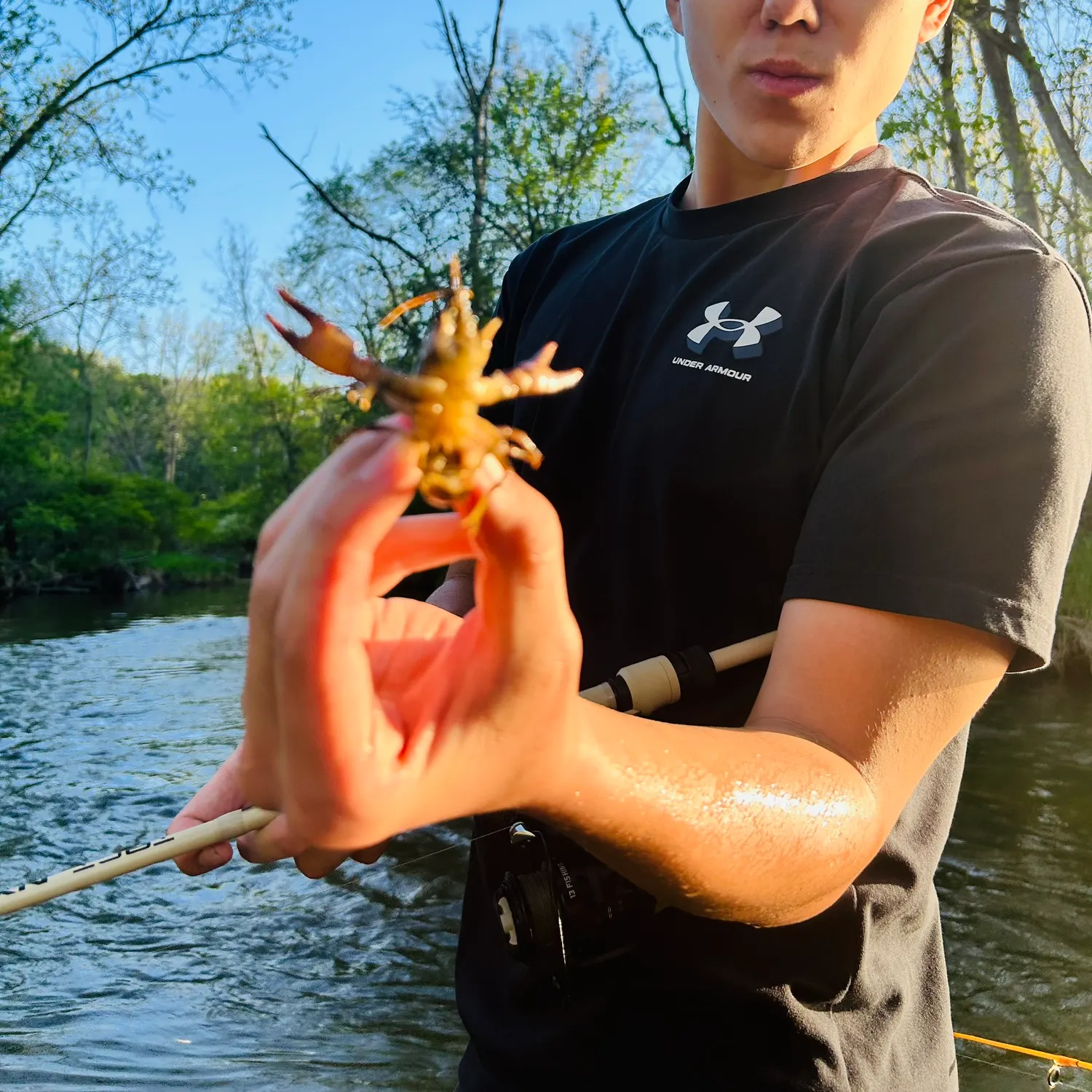 The most recent Rusty crayfish catches on Fishbrain