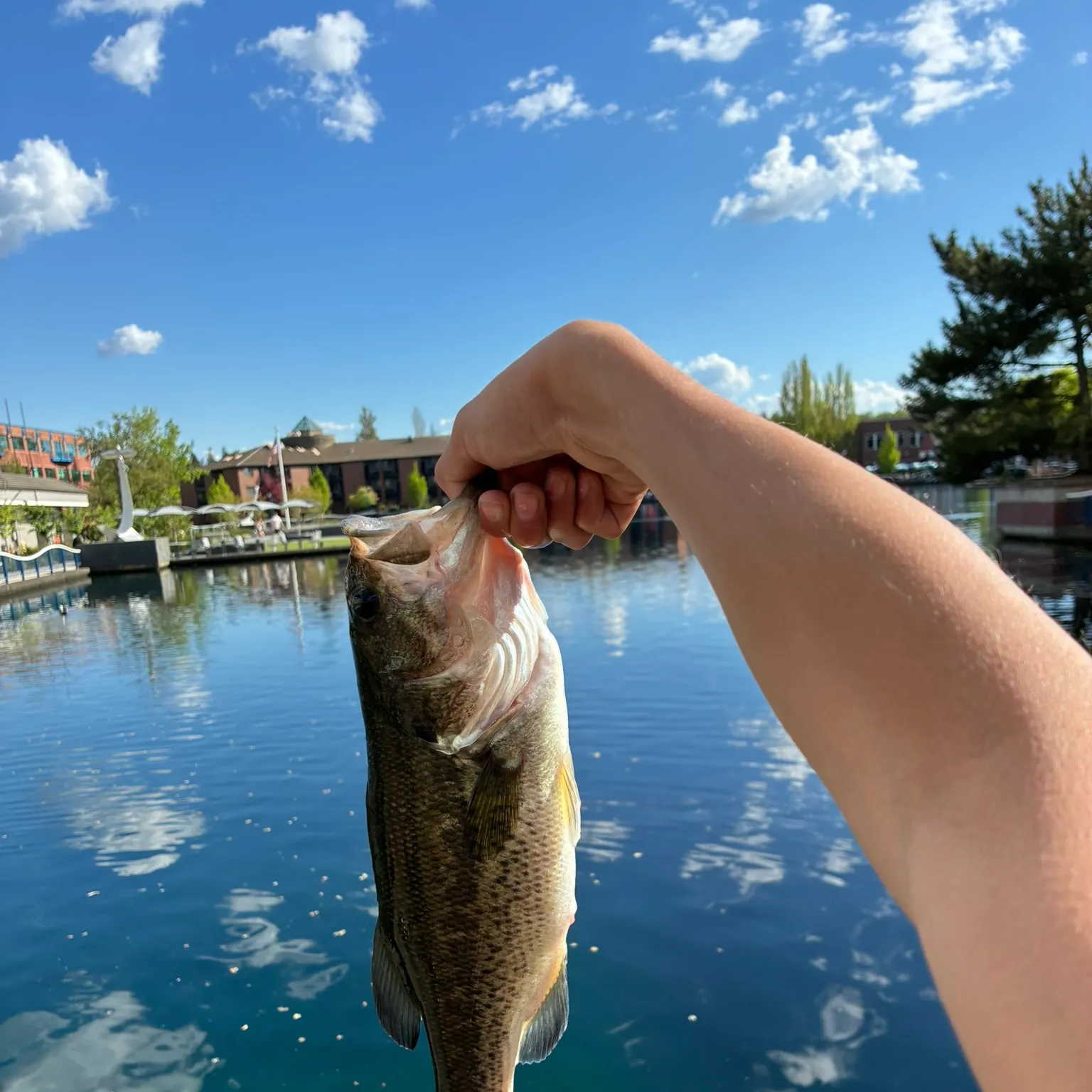 catch