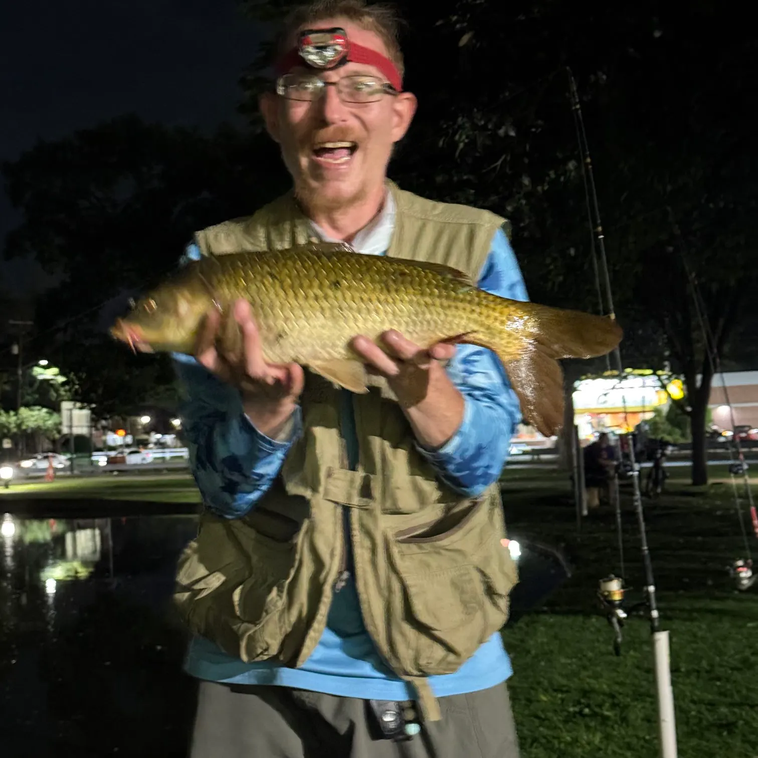 Common carp caught on Fishbrain