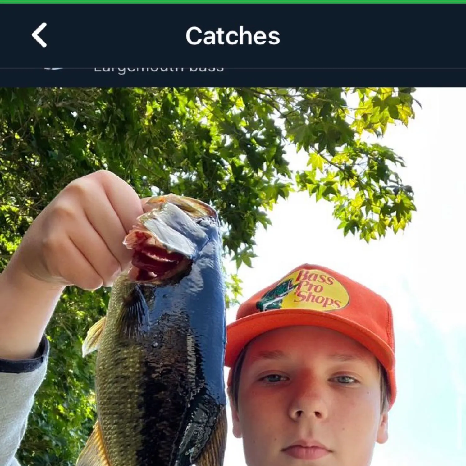 recently logged catches