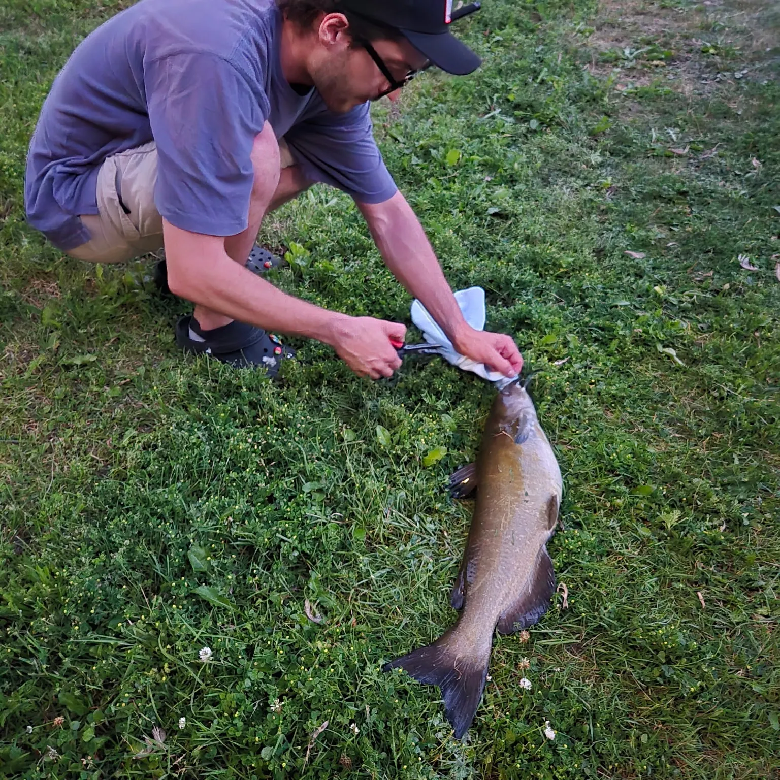 catch