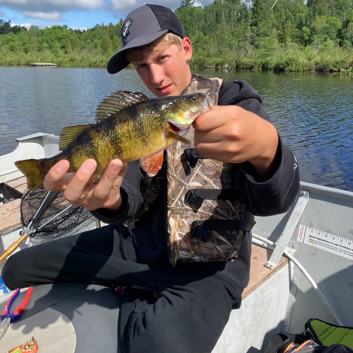 Yellow perch caught on Fishbrain