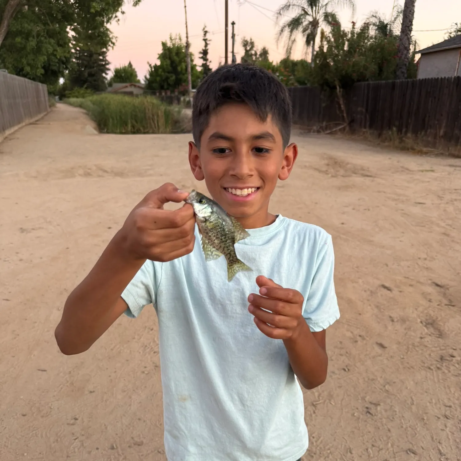 Magnolia crappie caught on Fishbrain