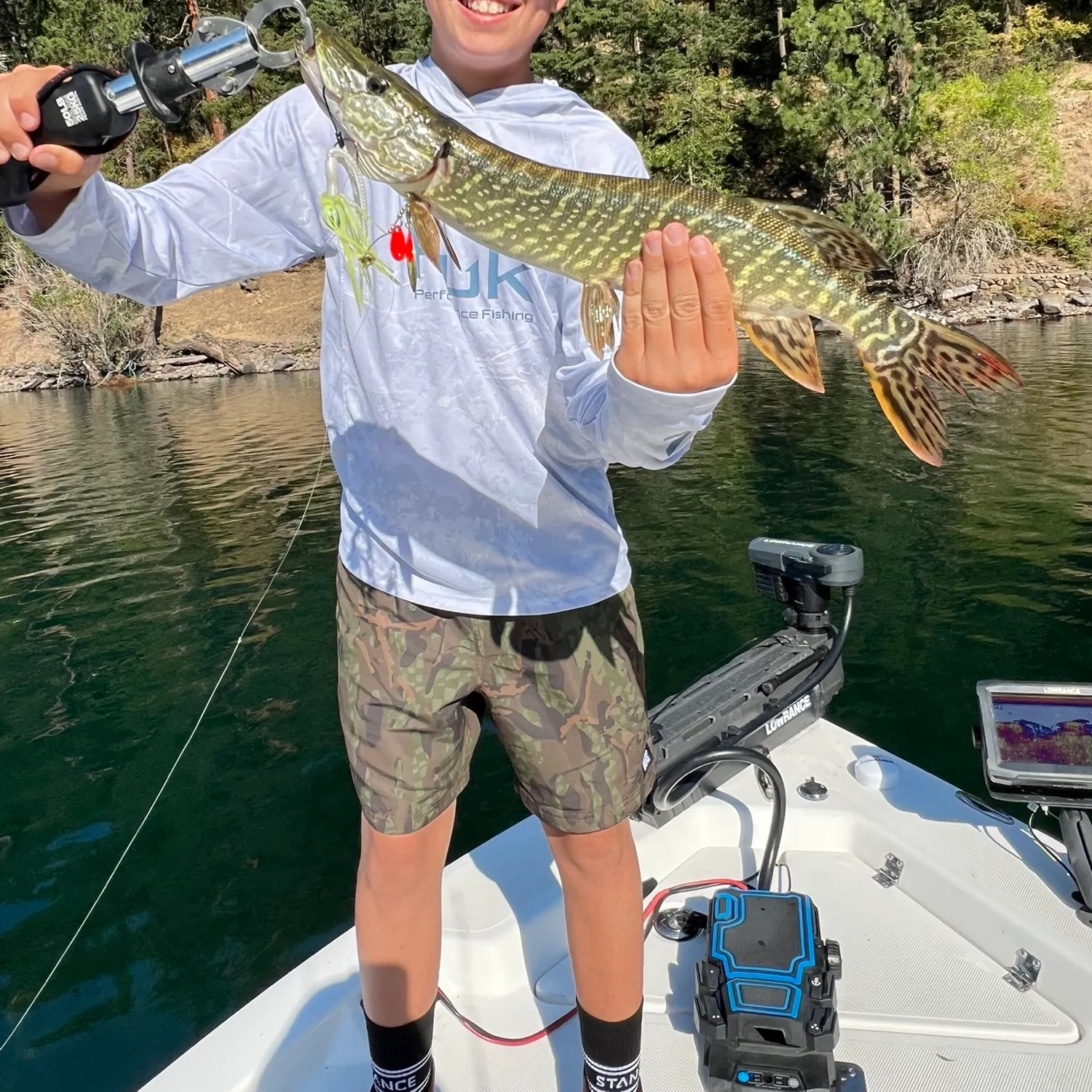 Northern pike caught on Fishbrain