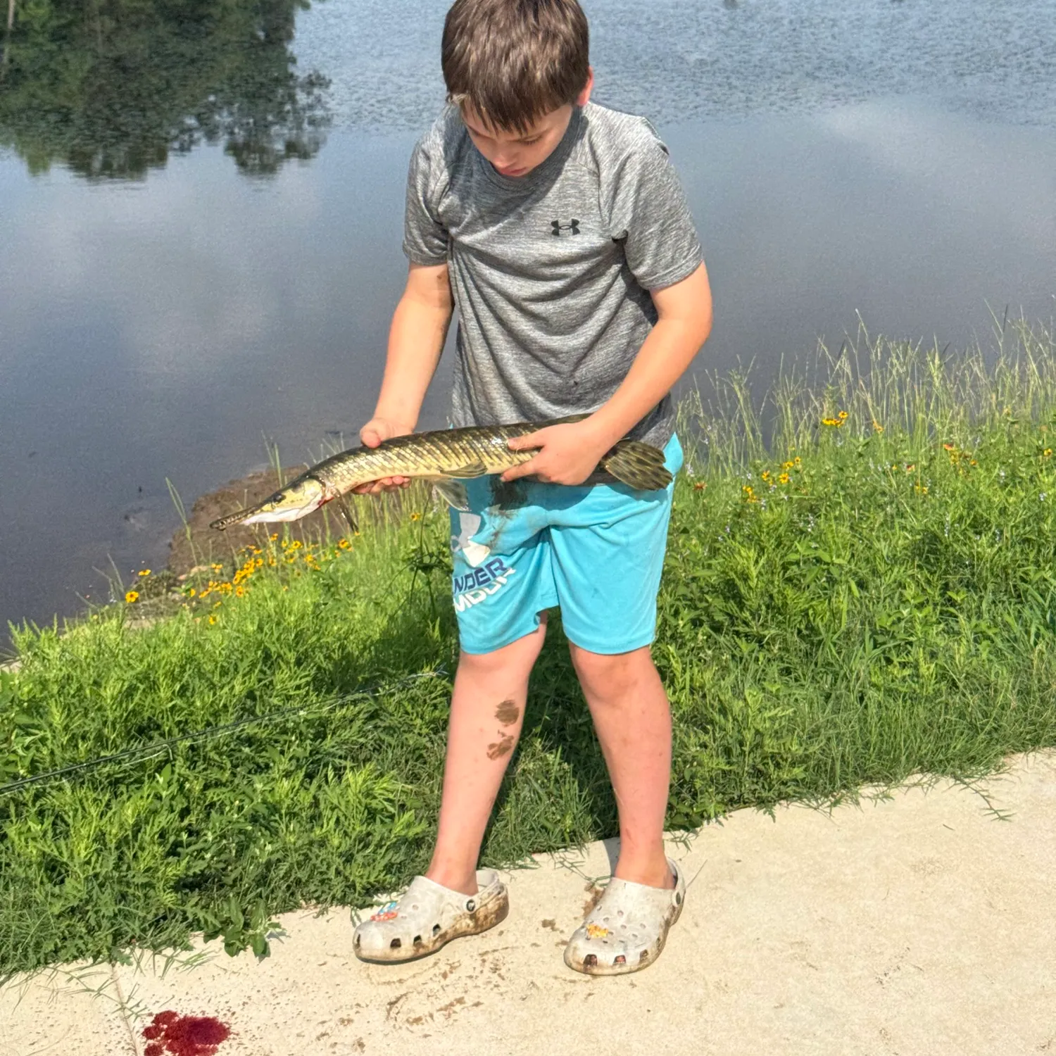 The most recent Spotted gar catches on Fishbrain