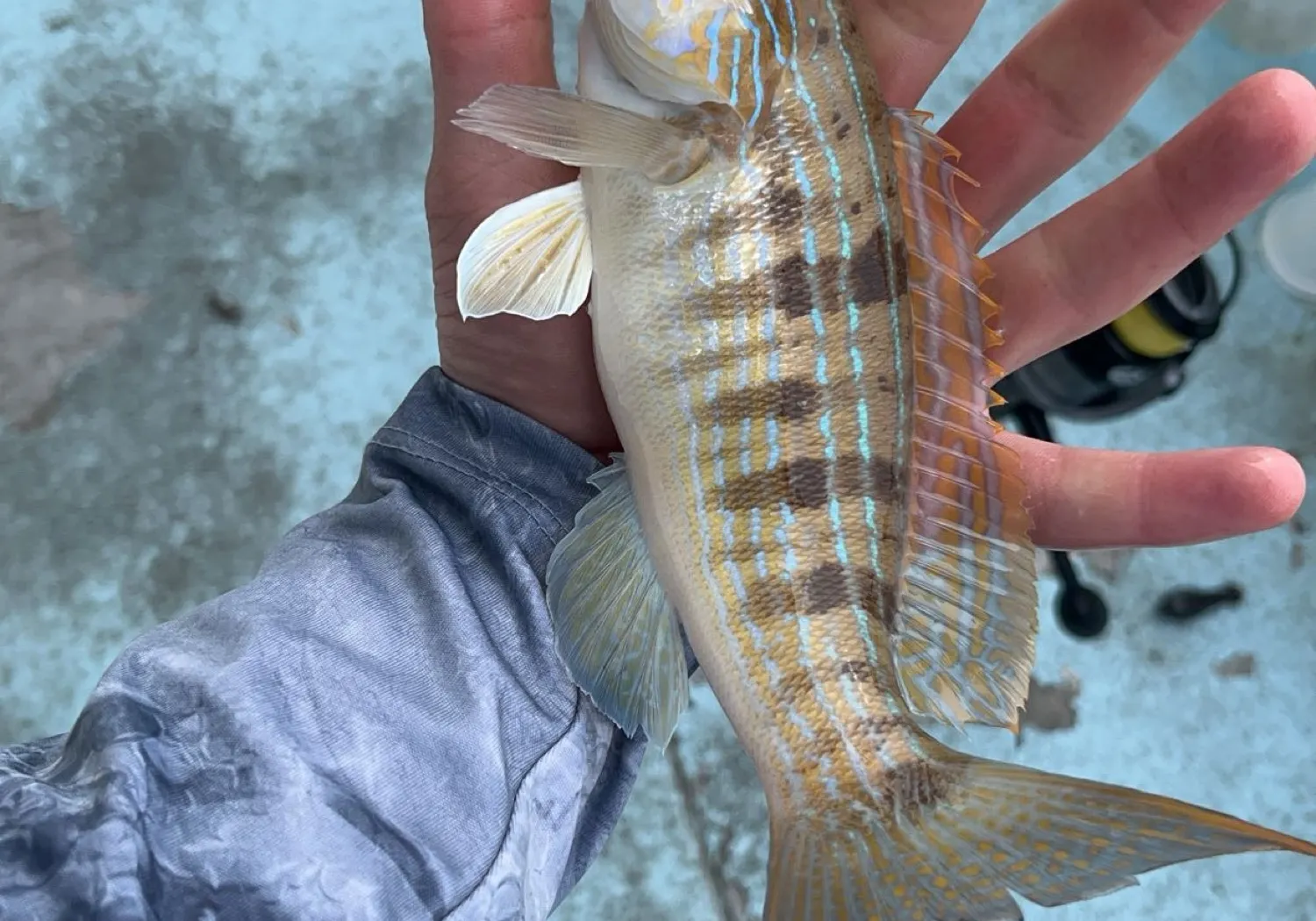 Sand perch