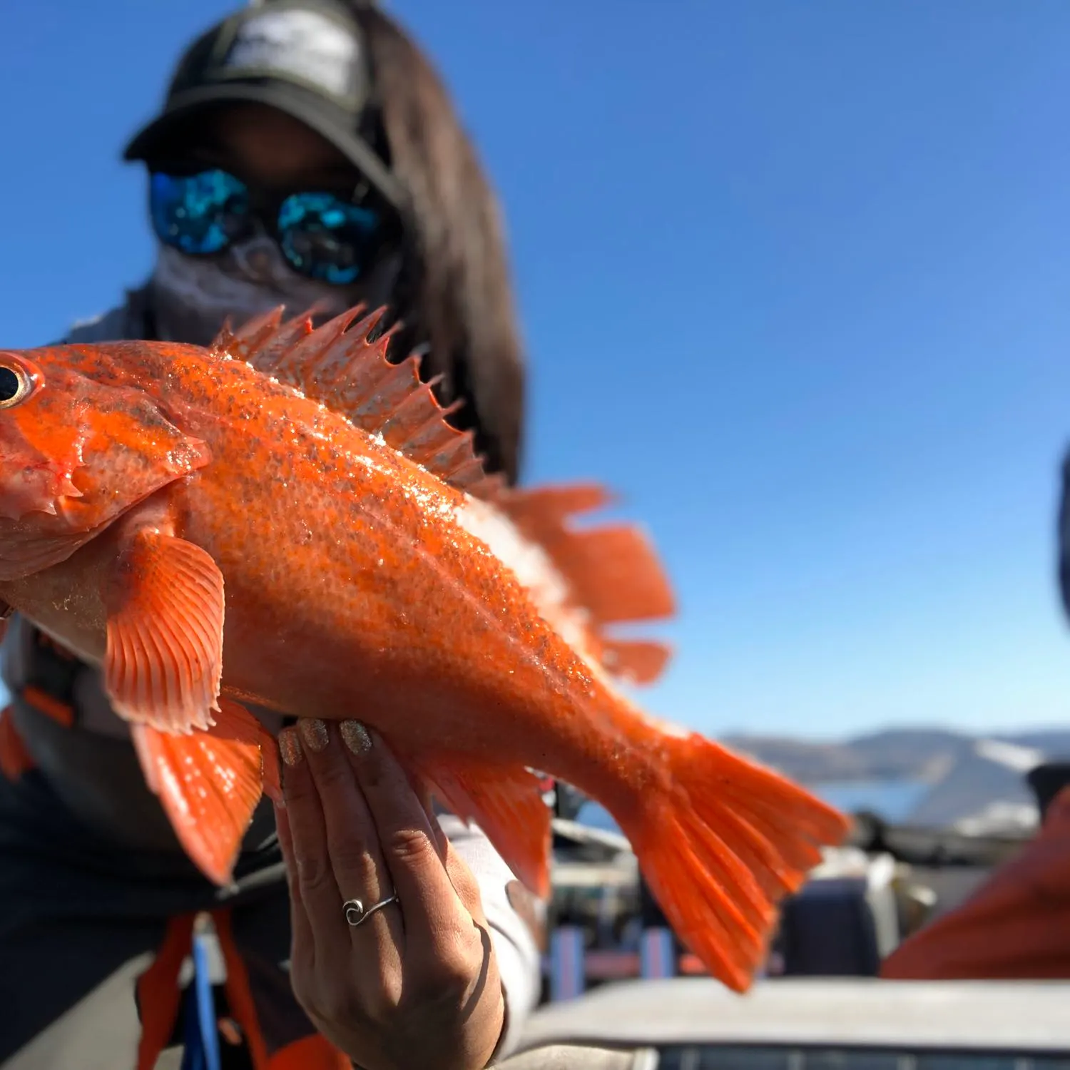 The most popular recent Vermilion rockfish catch on Fishbrain