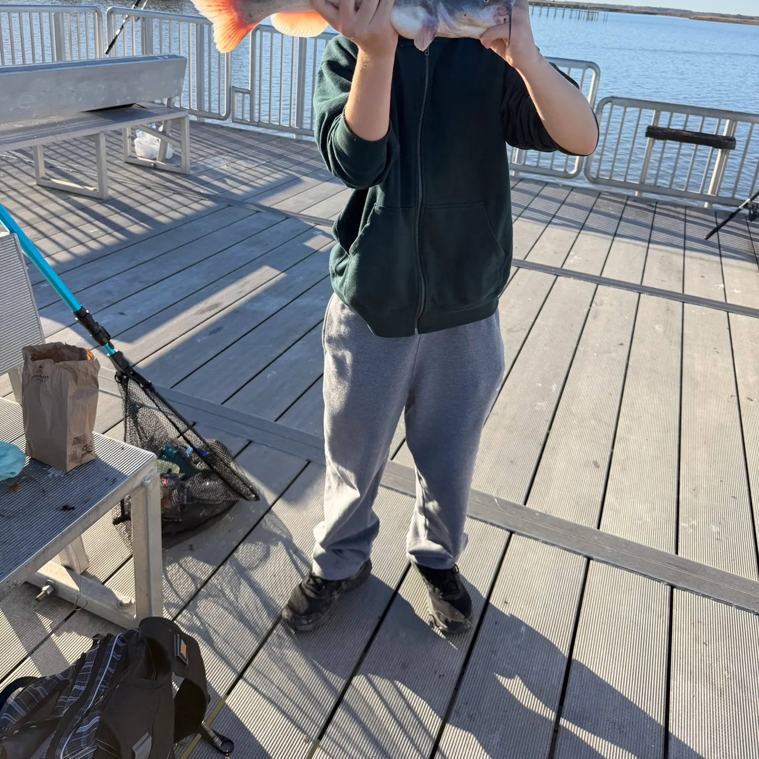 White bullhead caught on Fishbrain