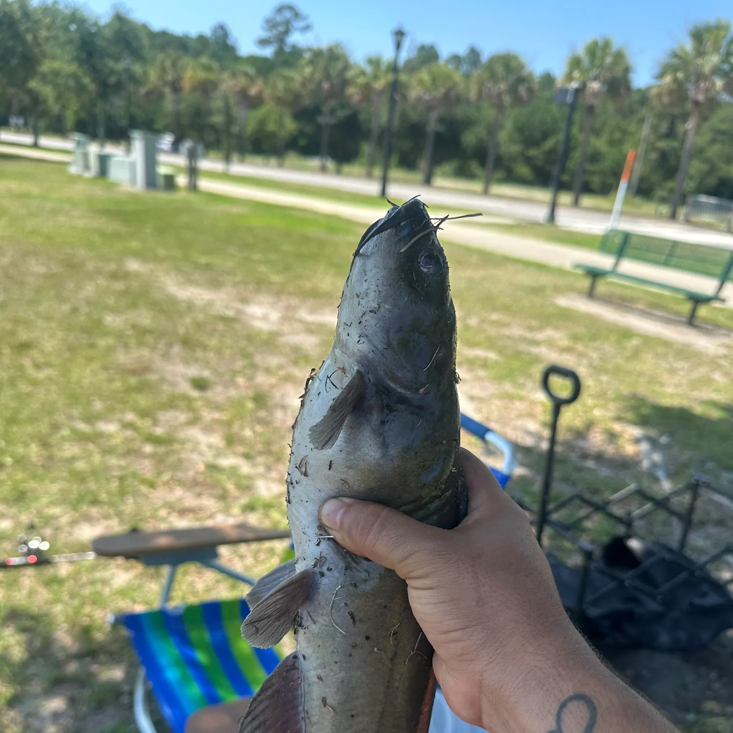 catch