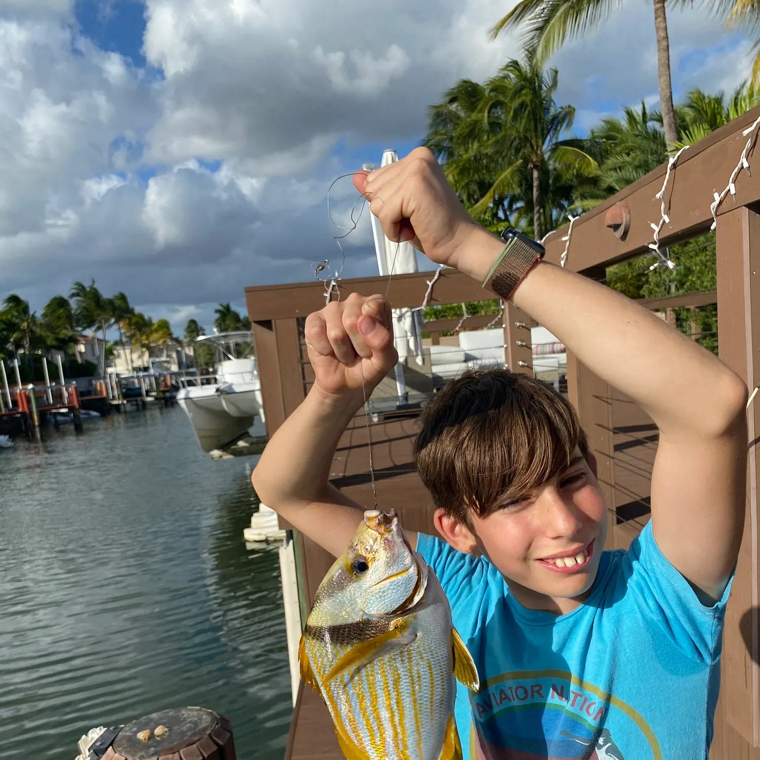 The most recent Atlantic porkfish catches on Fishbrain