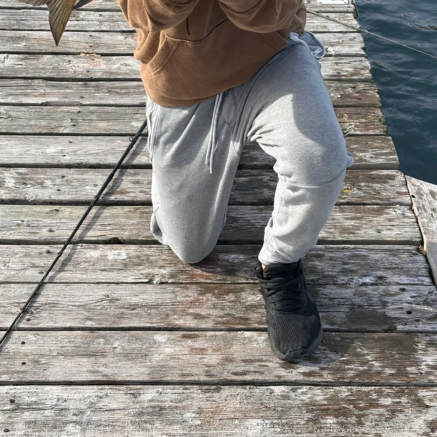 The most recent June sucker catches on Fishbrain