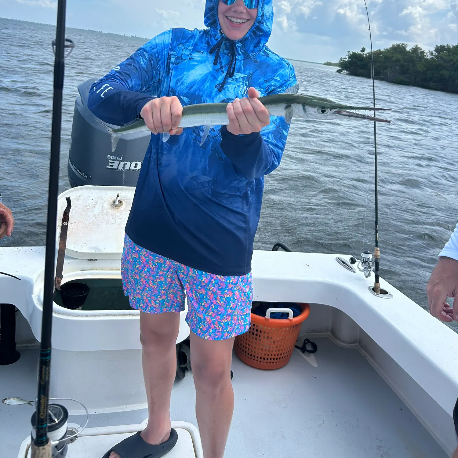 The most recent Hound needlefish catches on Fishbrain