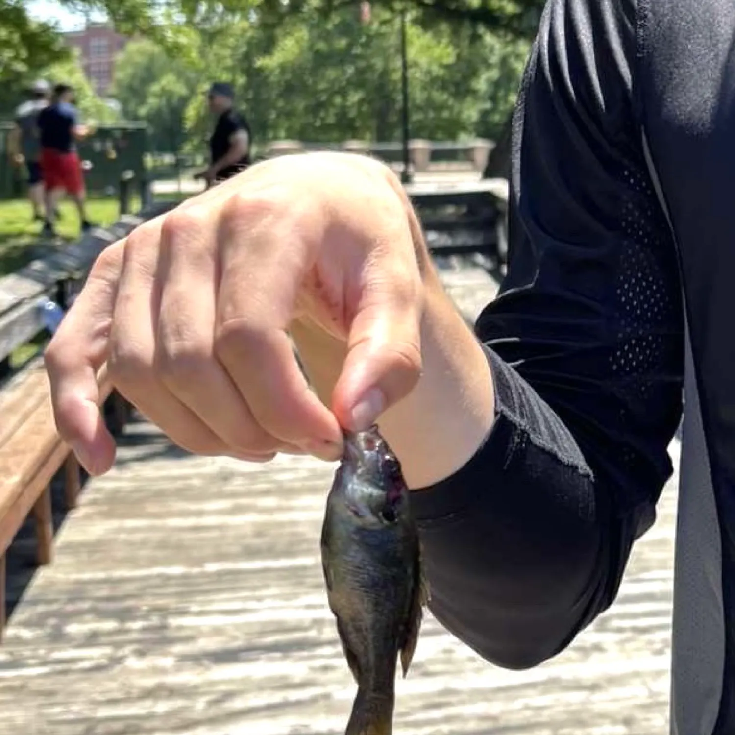 catch