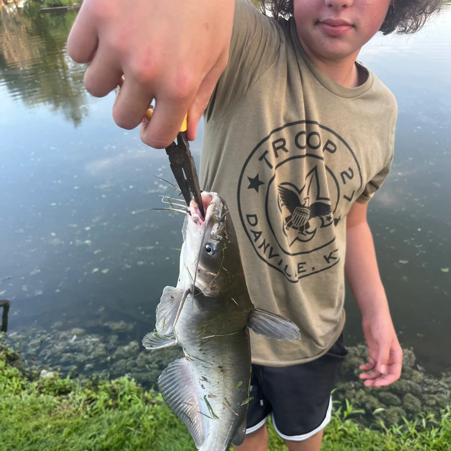 catch