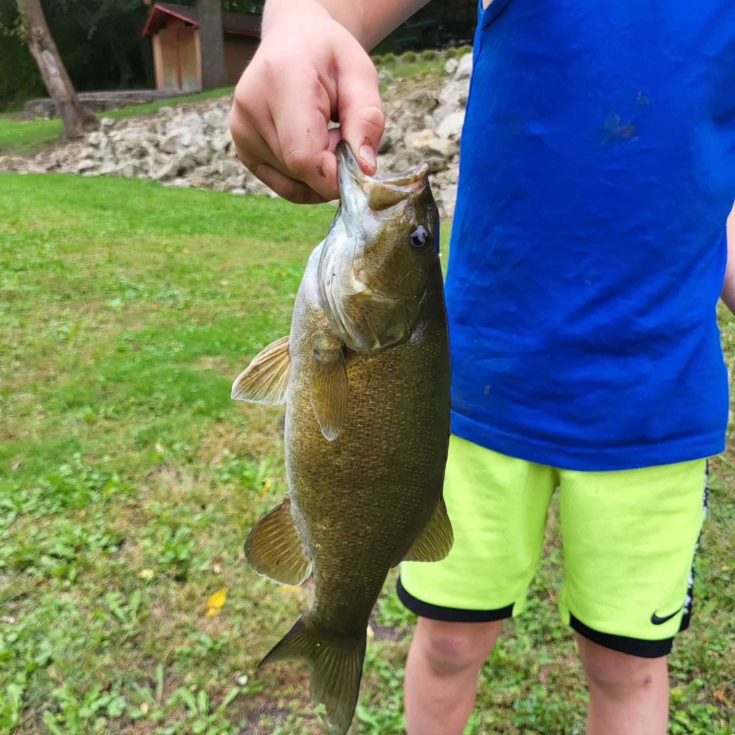 Smallmouth bass caught on Fishbrain