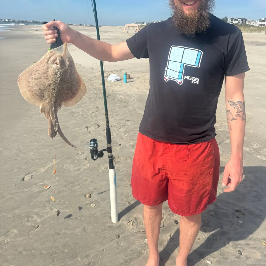 The most recent Clearnose skate catches on Fishbrain